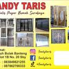 fandytaris