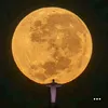 blup_d1vid
