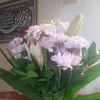 oumwidad123