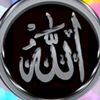 user6153027137004