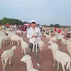 duongqueo92