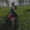 rhnstilllearning