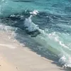 joybarrientos8