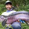 thanachit_moolkun