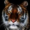 caty150107