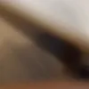vtuu_