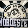 nogueir4____