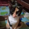 user7935495797815sari