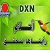 dxnproduits