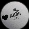 mudan.4