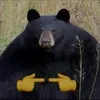 vatrujka