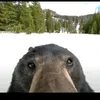 mikromolekula2.0