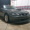 greystang