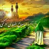 amirmohammad.313