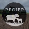 regier_cattle_and_hay