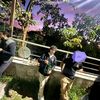 reinaldocrew