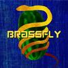 brassfly