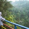 nneng_04