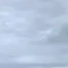 sugerbitj