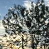 homeby_ladi