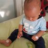 xharhy31