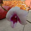 nguyn.duong205