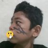 palenchip