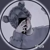 _sheethv