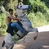 luizmiguel_00_244