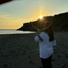 semut_abang991