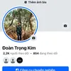kimvanhoa205