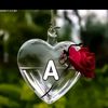 imranbhat717