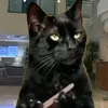 nilihomannn