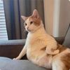 mrwhaley99