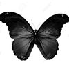 butterfly2pretty_