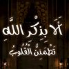 user3054183141581
