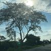 marielabravo34