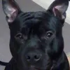 migui5691