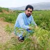 Mujahidkhan33447