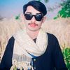 msheraz810
