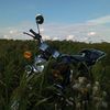 _immortal1208_