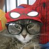 nanasukaspiderman