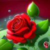 zaibi_jutt786