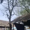 vrndkim._06