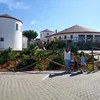 irene_7666