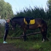 olesya_and_horse