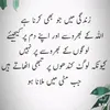 ansar1245_