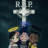 aod.tyrell0