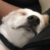 blip_blop37
