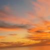 notfound_0100